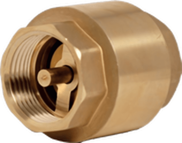 Check Valve Plus